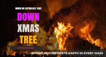Taking Down the Christmas Tree: Catholic Traditions