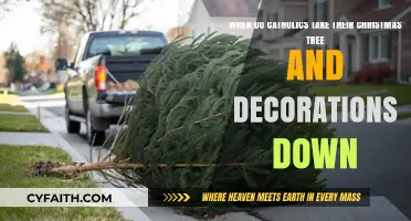 When Do Catholics Remove Christmas Trees and Decorations?