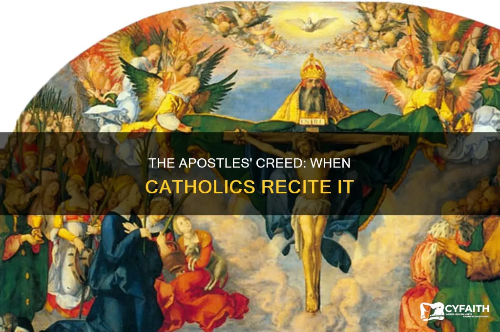 when do catholics use the apostles creed