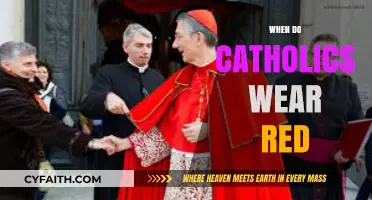 When Catholics Wear Red: Liturgical Significance and Occasions Explained