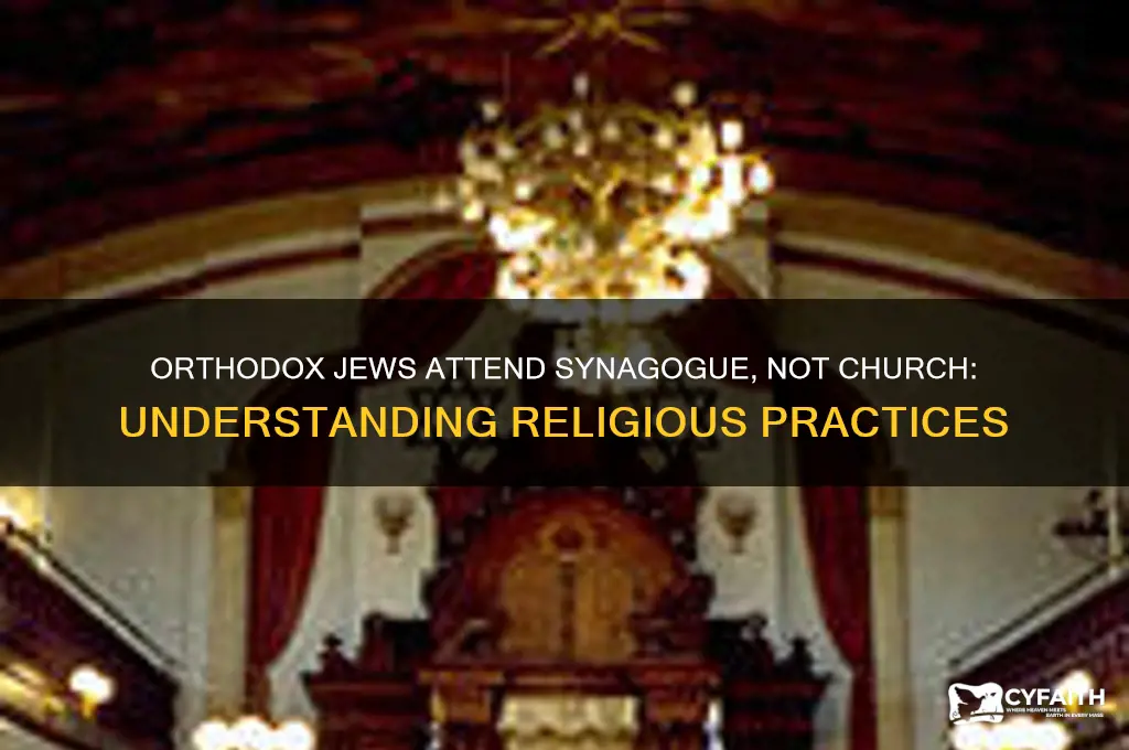 when do jewish orthodox go to church