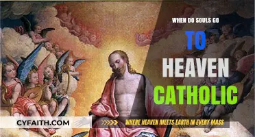 Souls' Journey to Heaven: A Catholic Perspective