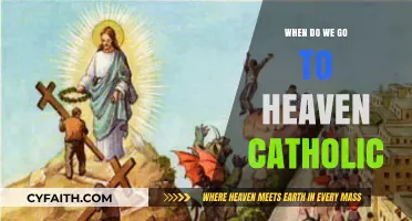 The Catholic Path to Heaven