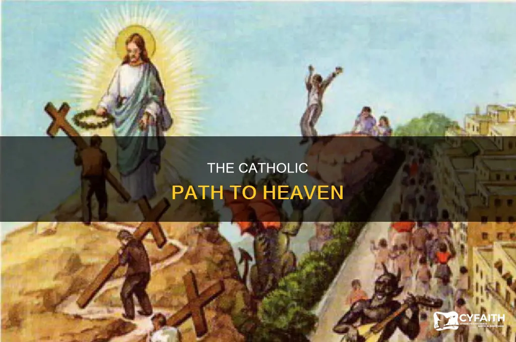 when do we go to heaven catholic
