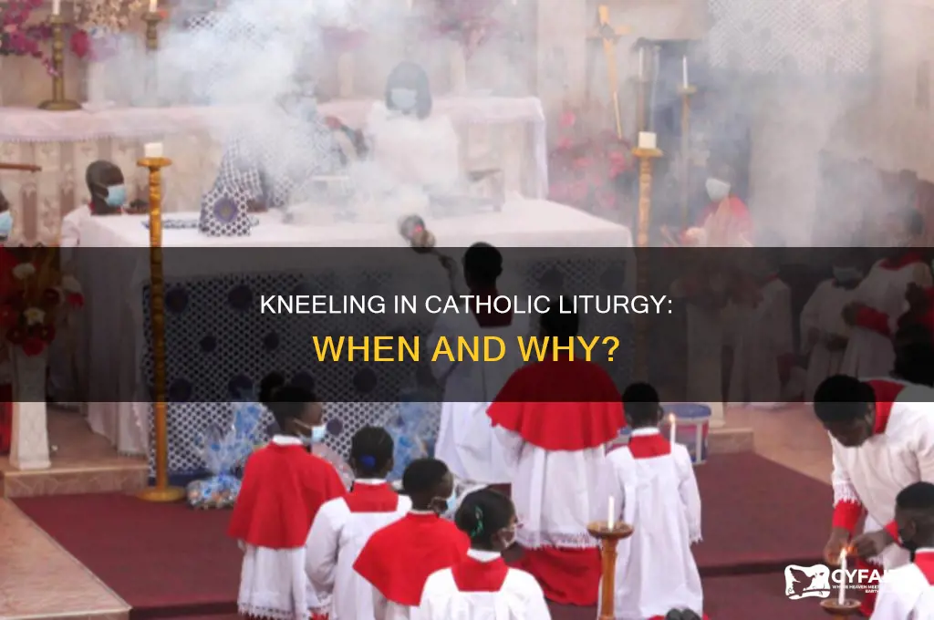 when do western catholics kneel during liturgy