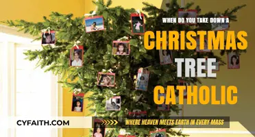 Catholic Tradition: When to Take Down Your Christmas Tree