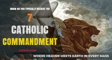 Understanding the Catholic Faith: When Are the Seven Commandments Received?