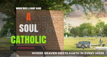 The Soul's Entrance: A Catholic Perspective on Baby's Soul