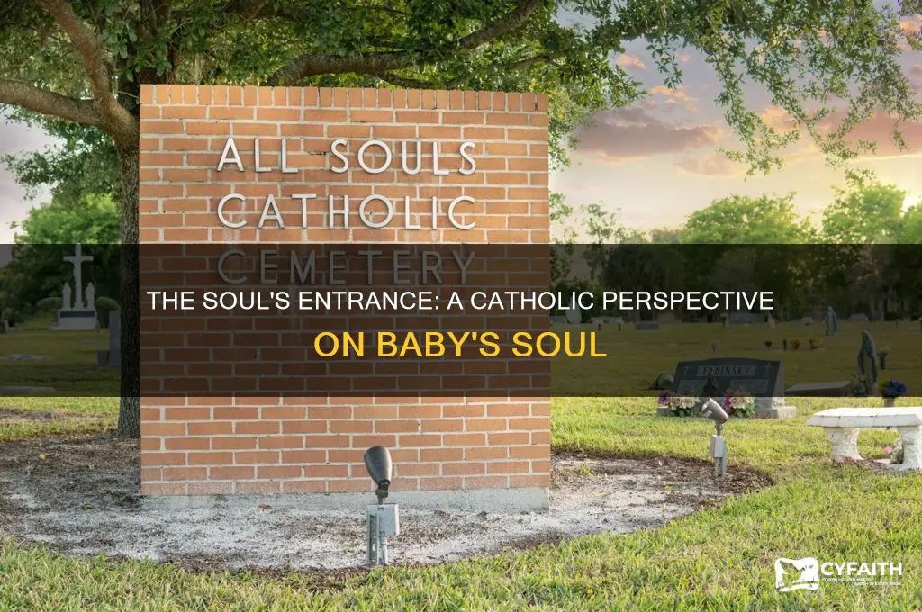 when does a baby have a soul catholic