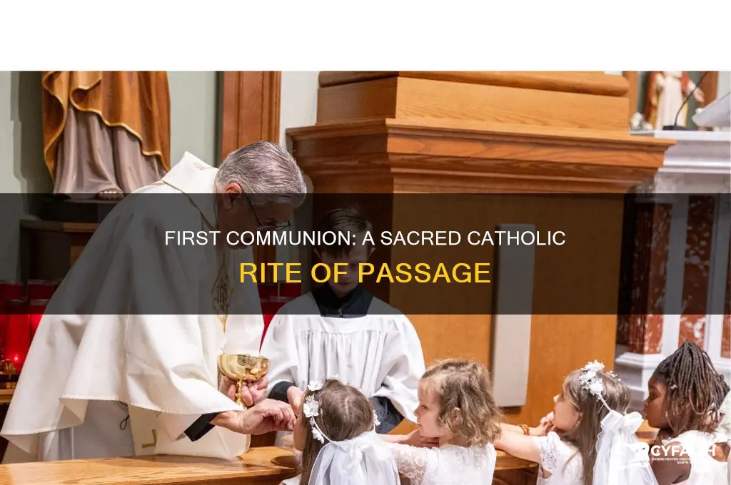 when does a catholic receive first communion