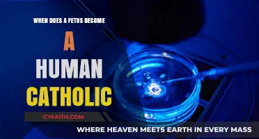 The Catholic View: Fetal Personhood and Human Rights