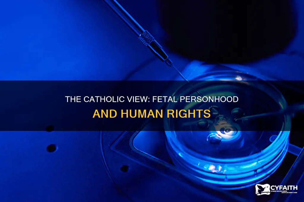 when does a fetus become a human catholic