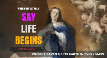 Catholic Teachings on Life's Beginning: Conception and Sanctity Explored