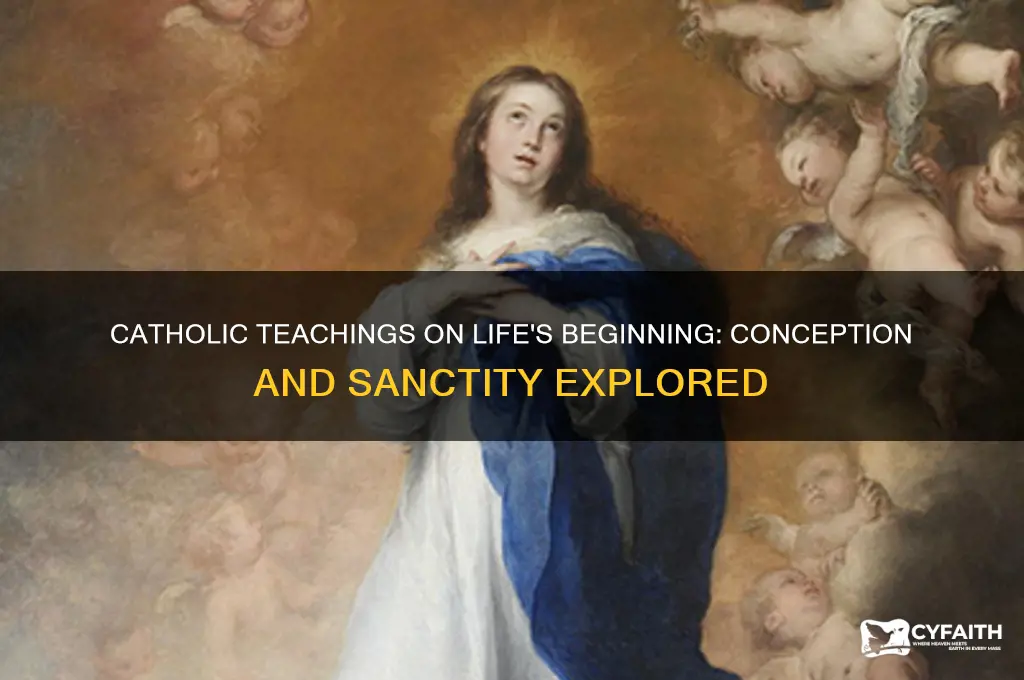 when does catholic say life begins