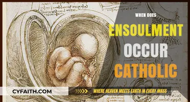 Catholic Perspective: When Does Ensoulment Occur in Human Life?