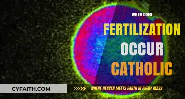 Catholic Teachings on Fertilization: Understanding the Sacred Moment of Conception