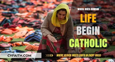 When Does Human Life Begin: Catholic Teachings and Beliefs Explained