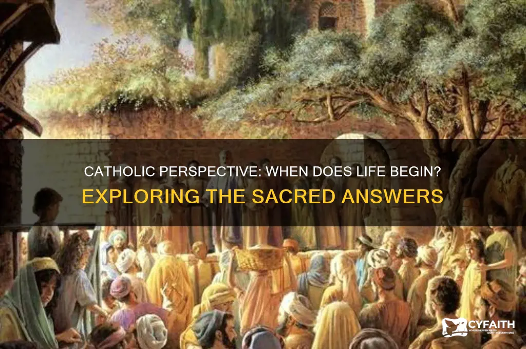 when does life begin catholic answers