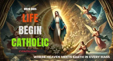 When Does Life Begin: Catholic Perspectives on Conception and Faith