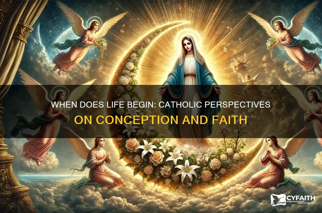 when does life begin catholic