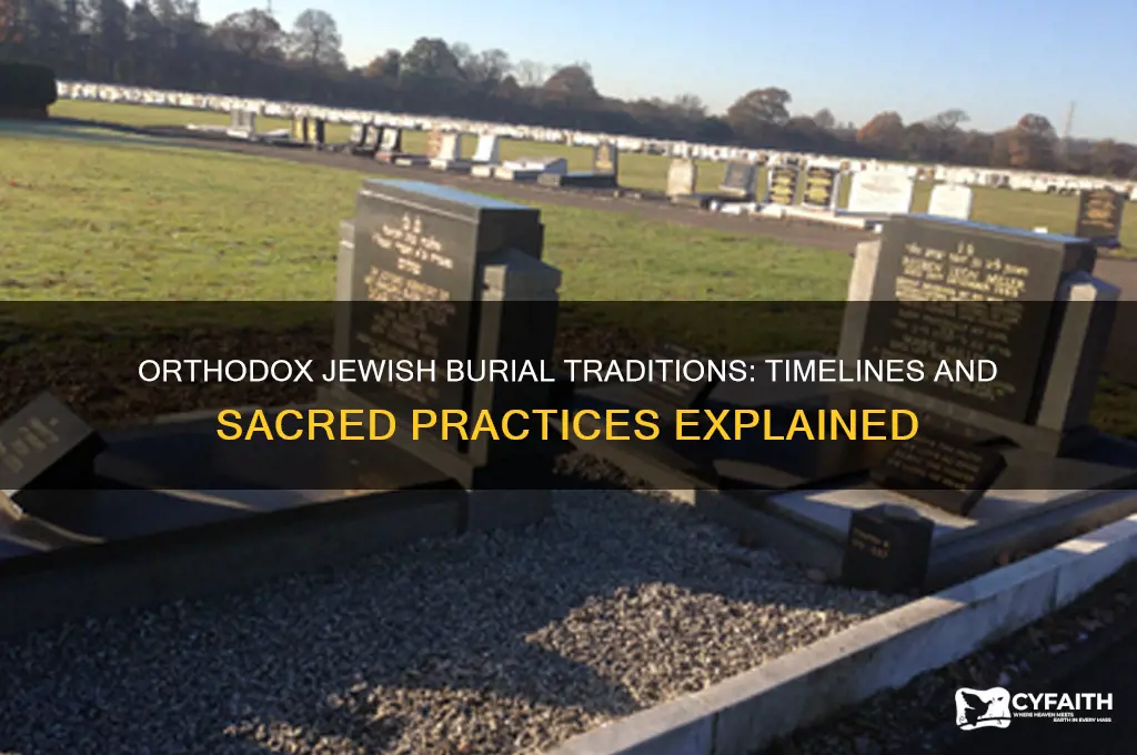 when does orthodox jews get buried