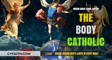 When Does the Soul Enter the Body in Catholic Tradition?
