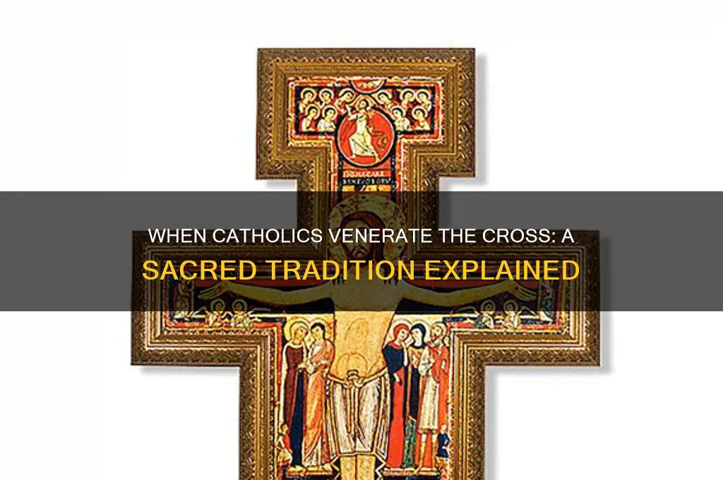 when does the catholics venerate the cross