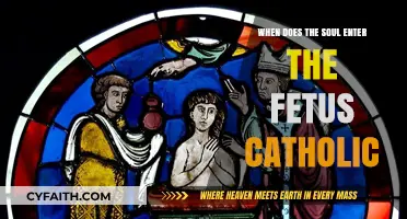 Catholic Teachings on When the Soul Enters the Fetus Explained