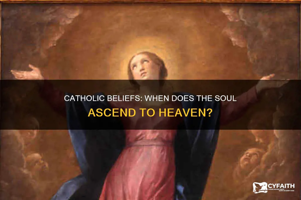 when does the soul go to heaven catholic