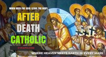 Catholic Perspective: When Does the Soul Depart After Death?