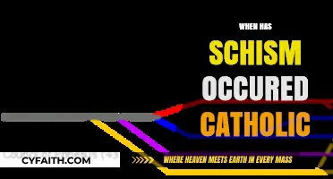 Historical Schisms in the Catholic Church: Causes and Consequences Explored