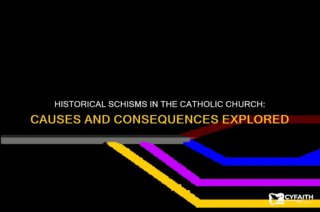 when has schism occured catholic
