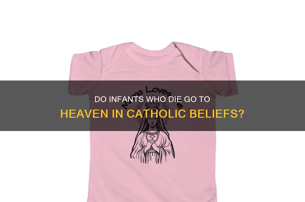 when infants die do they go to heaven catholic