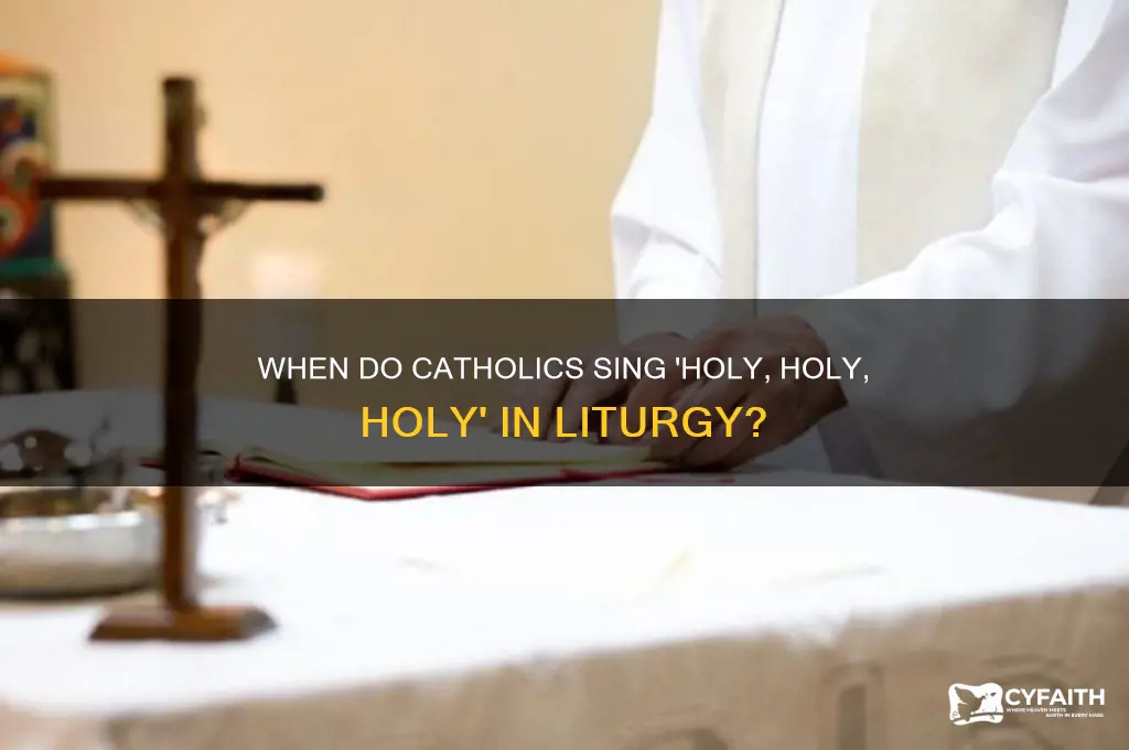 when is holy holy sung catholic