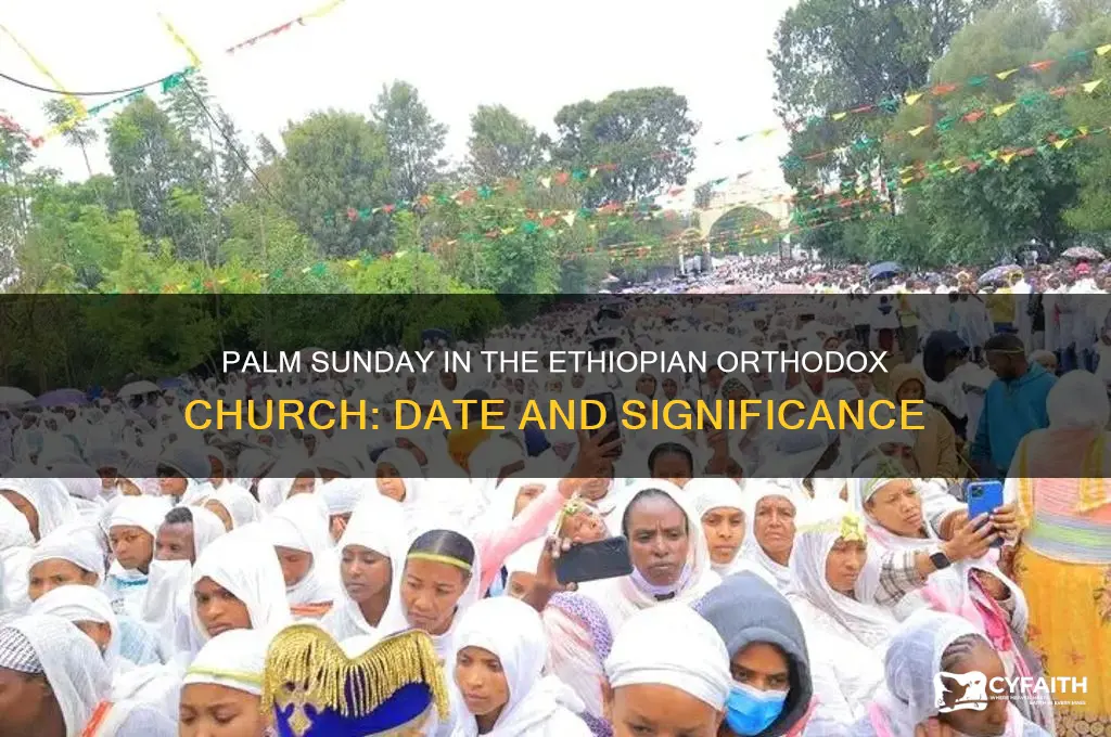 when is palm sunday for the ethiopian orthodox church