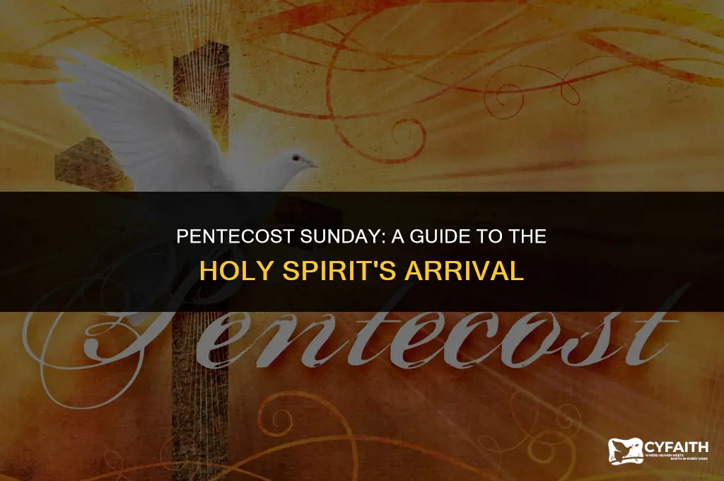 when is pentecost sundsy