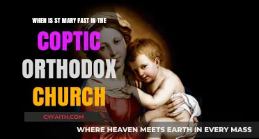 Understanding St. Mary's Fast in the Coptic Orthodox Tradition