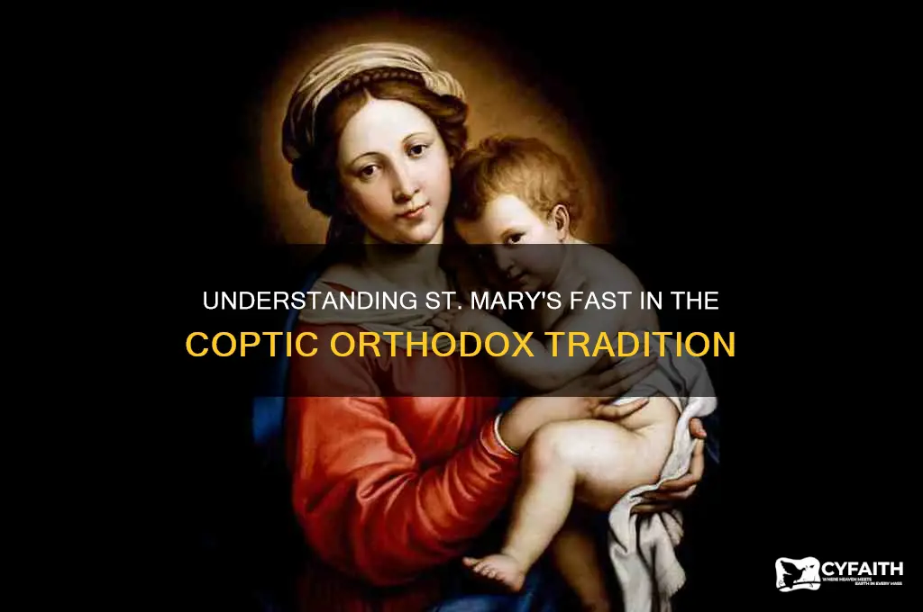 when is st mary fast in the coptic orthodox church
