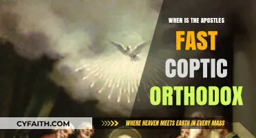 Understanding the Apostles Fast in the Coptic Orthodox Tradition
