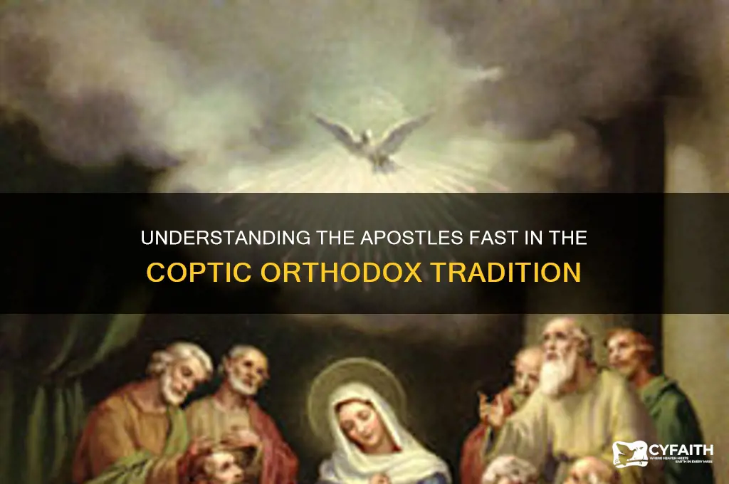 when is the apostles fast coptic orthodox