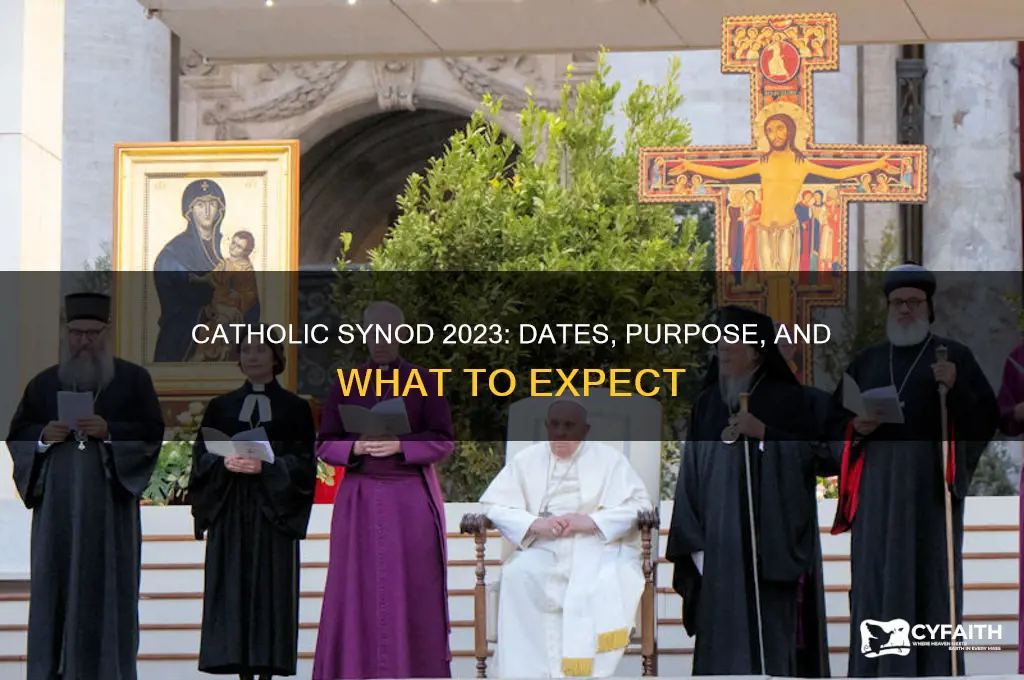when is the catholic synod