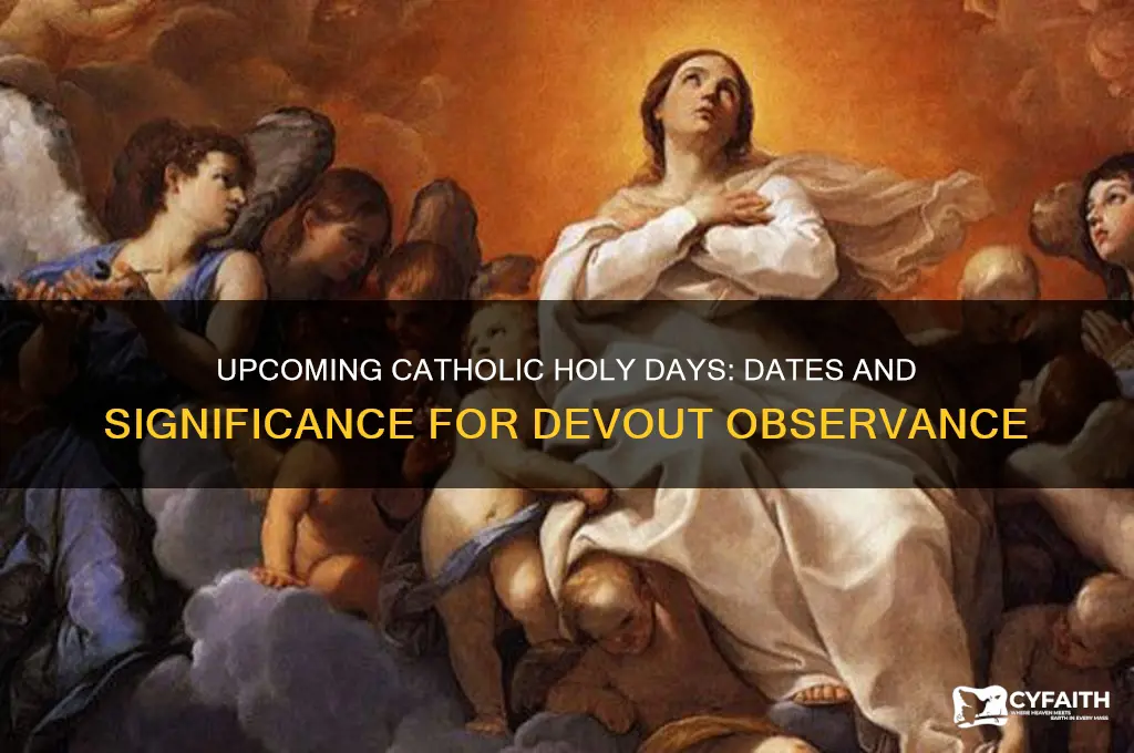 when is the next catholic holy day