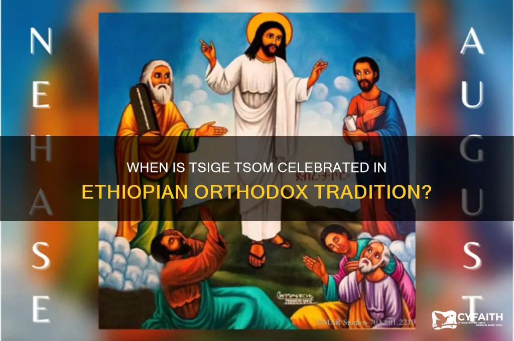 when is tsige tsom in ethiopian orthodox