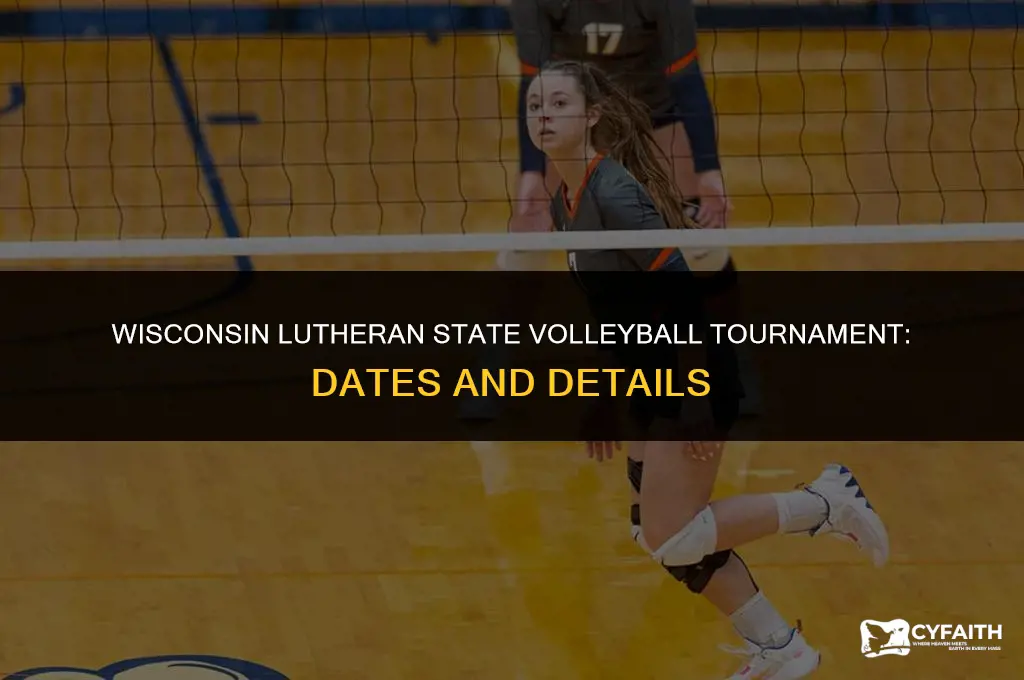 when is wisconsin lutheran state volleyball tournament
