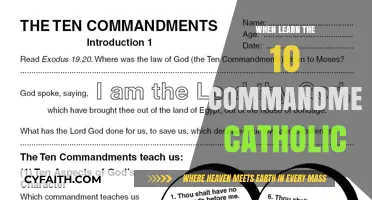 Understanding the 10 Commandments: A Catholic's Journey to Faith and Morality