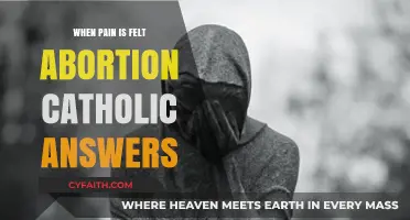 Understanding Catholic Perspectives on Abortion and the Experience of Pain