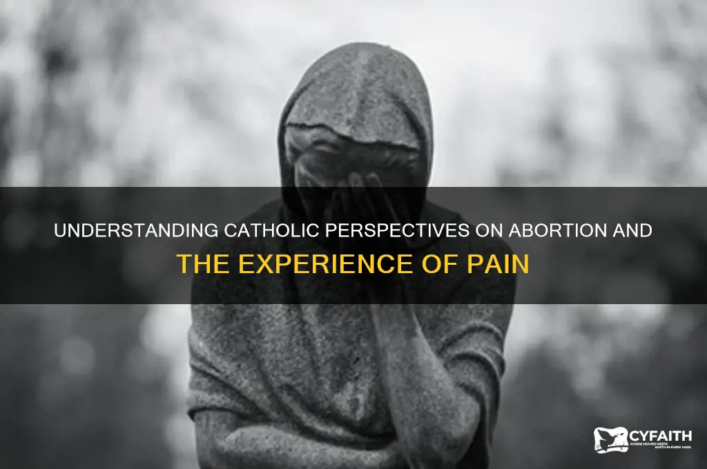 when pain is felt abortion catholic answers