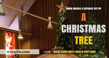 When Should Catholics Decorate Their Christmas Trees? A Guide