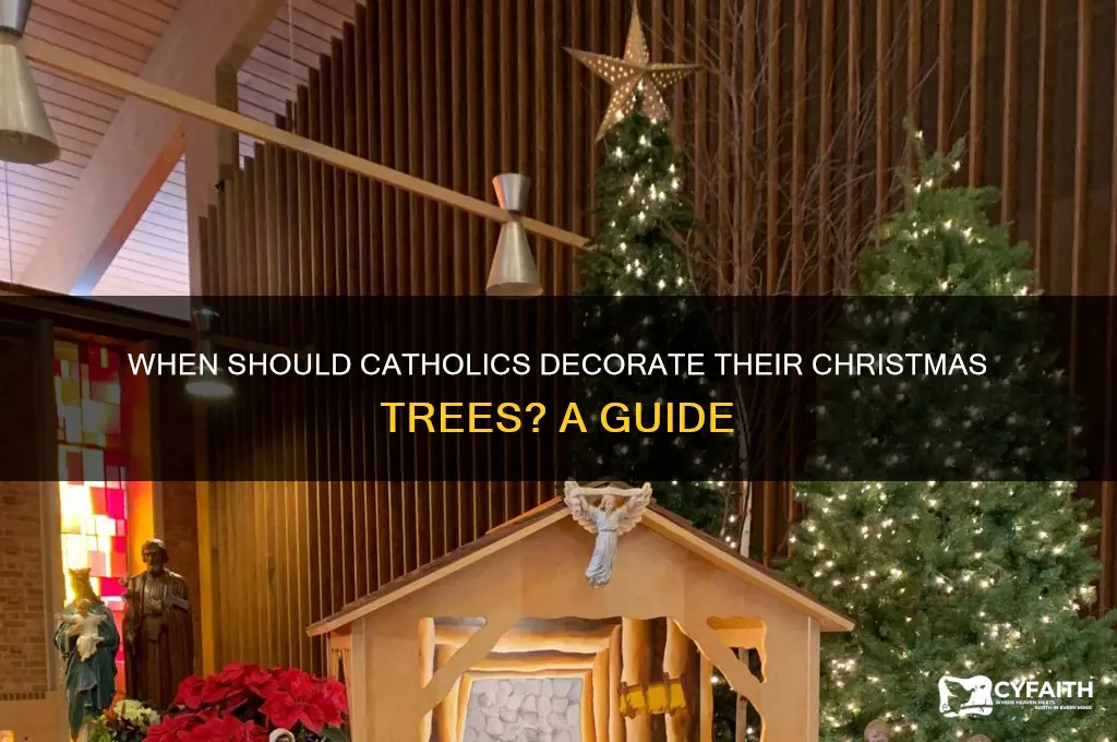 when should a catholic put up a christmas tree