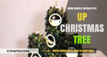 When Should Catholics Decorate Their Christmas Trees: A Guide